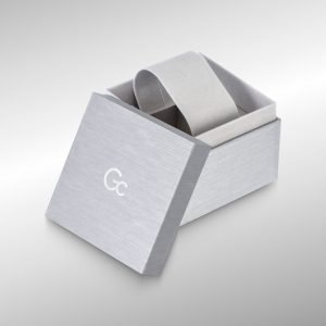 SA529 Watch Box